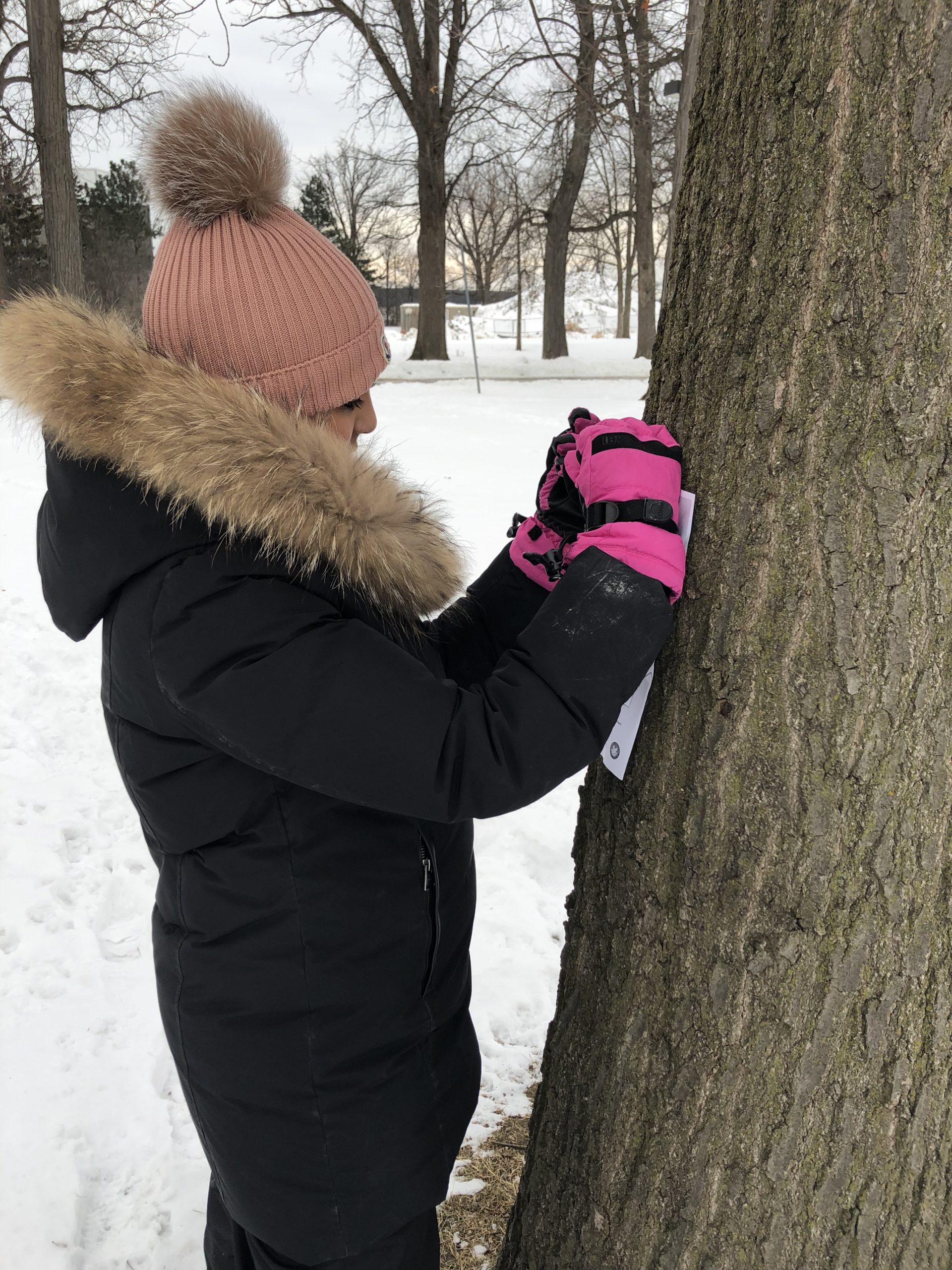 Outdoor learning