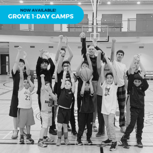 New! Grove 1-Day Camps